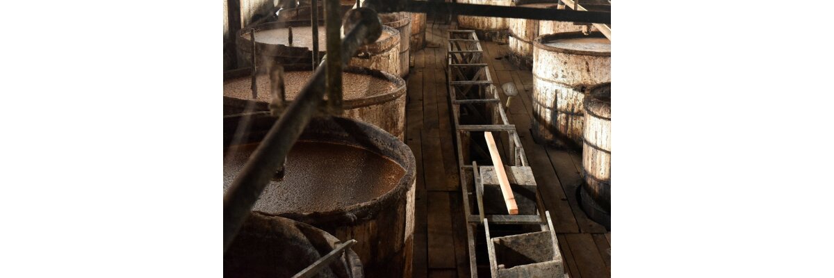 Die Fermentation bei der Rum-Herstellung - 