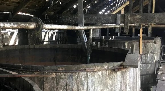 Fermentation bei Long Pond