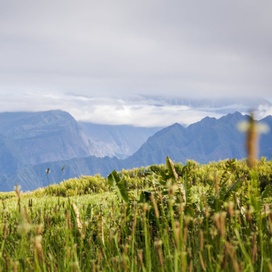 Das Leben auf La Reunion - Landschaft